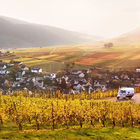 Holiday Winery Andrae-goebel * Ernst